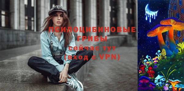 jwh Бородино