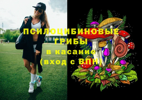 jwh Бородино